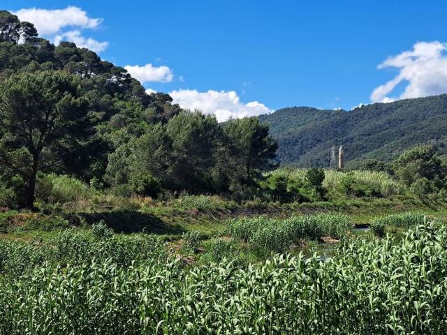 Terreno in vendita a Andora, Liguria