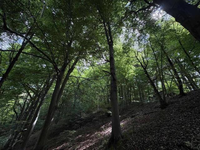Terreno in vendita a Piemonte, Biella