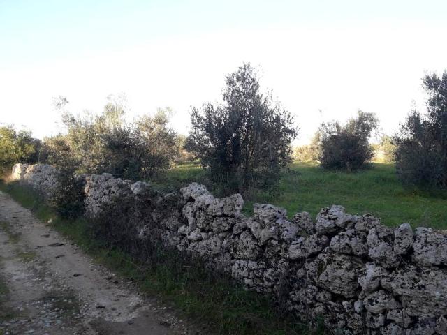 Terreno in vendita a Puglia, Lecce