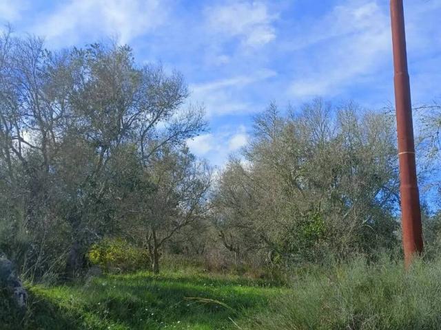 Terreno in vendita a Puglia, Lecce