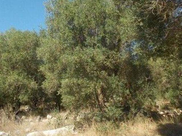 Terreno in vendita a Puglia, Lecce