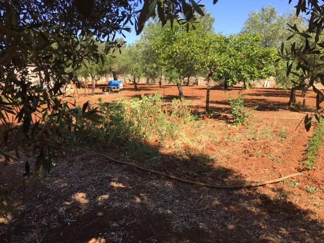 Terreno in vendita a Puglia, Lecce