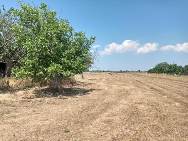Terreno in vendita a Puglia, Lecce
