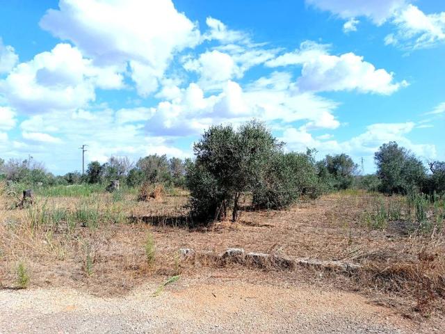 Terreno in vendita a Puglia, Lecce