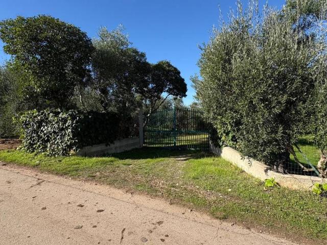 Terreno in vendita a Puglia, Barletta-andria-trani