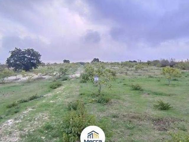 Terreno in vendita a Puglia, Barletta-andria-trani