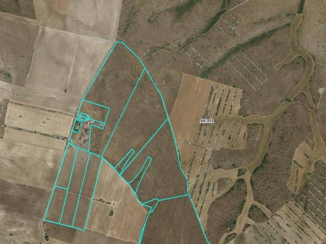 Terreno in vendita a Andria, Barletta-andria-trani