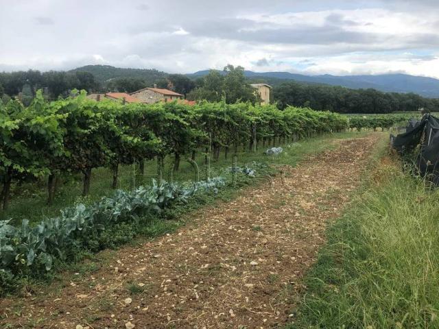 Terreno in vendita a Anghiari, Toscana