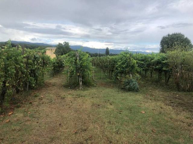 Terreno in vendita a Anghiari, Toscana