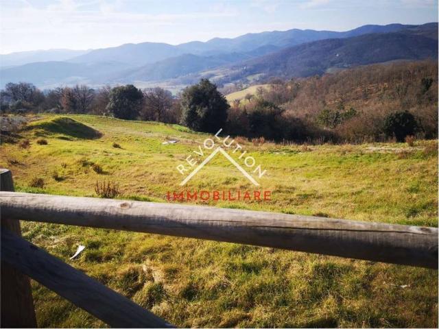 Terreno in vendita a Anghiari, Toscana