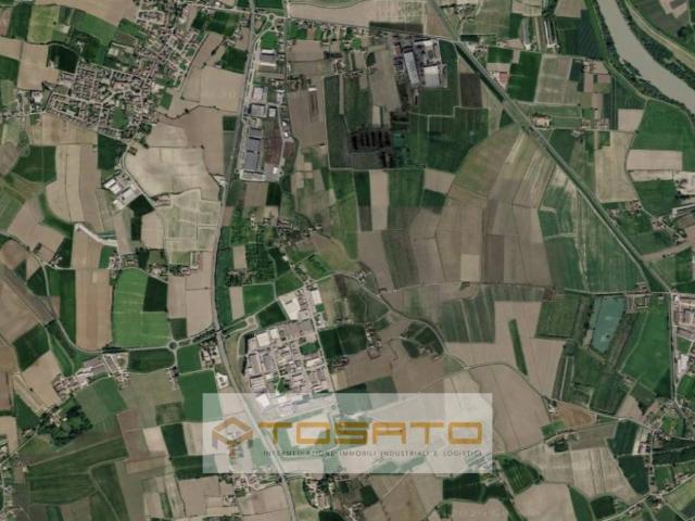 Terreno in vendita a Angiari, Verona