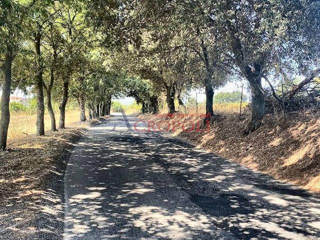 Terreno in vendita a Roma Capitale, Lazio