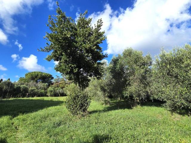 Terreno in vendita a Roma Capitale, Lazio