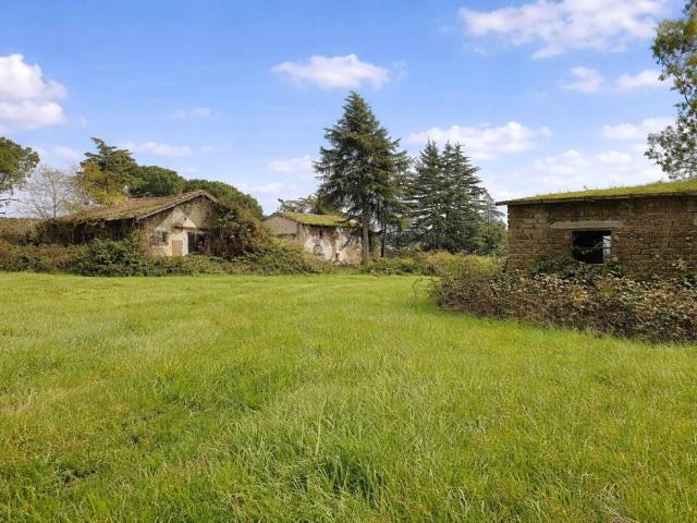 Terreno in vendita a Roma Capitale, Lazio