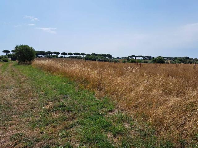 Terreno in vendita a Roma Capitale, Lazio