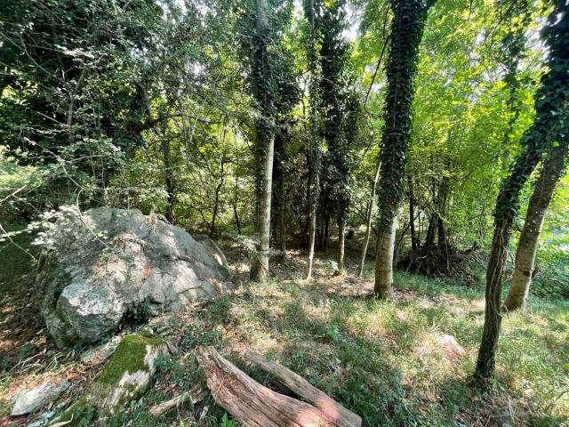 Terreno in vendita a Annone Di Brianza, Lombardia