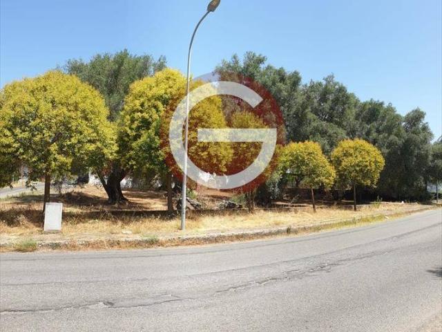 Terreno in vendita a Calabria, Reggio Calabria