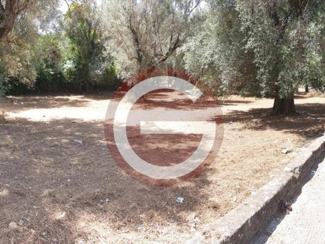 Terreno in vendita a Calabria, Reggio Calabria