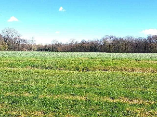 Terreno in vendita a Anzano Del Parco, Lombardia
