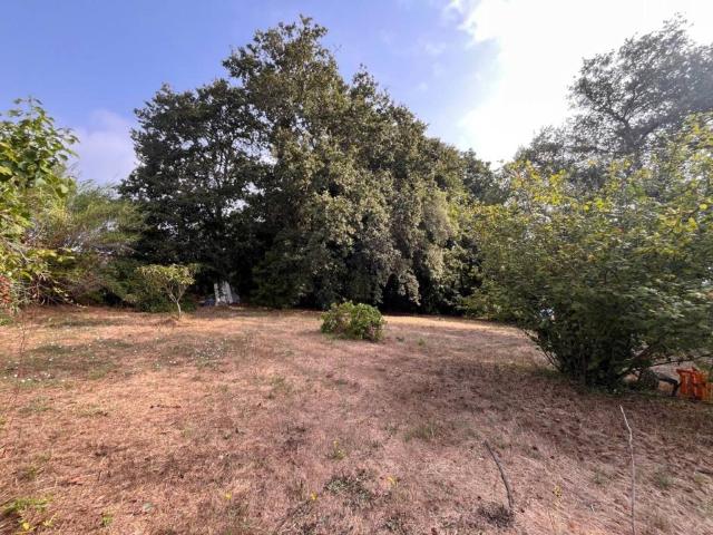 Terreno in vendita a Miglioramento, Roma Capitale