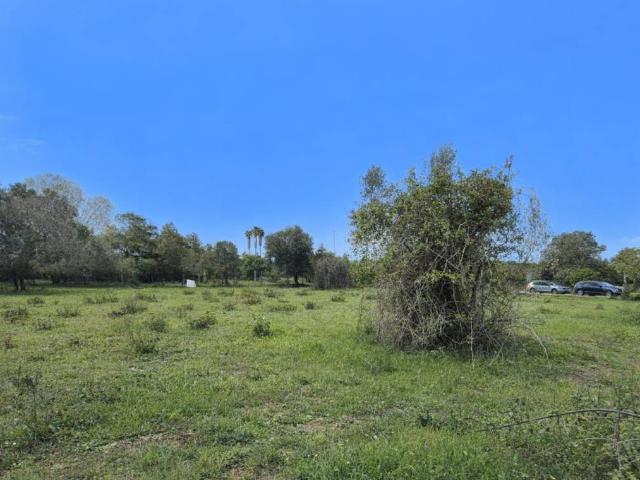 Terreno in vendita a Roma Capitale, Lazio