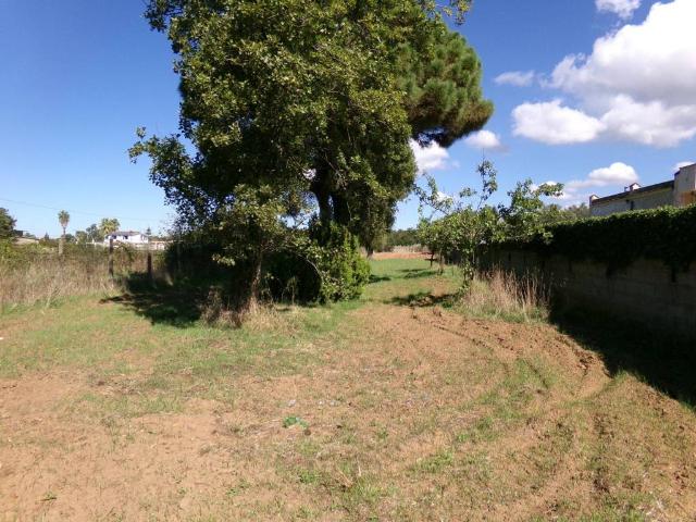 Terreno in vendita a Roma Capitale, Lazio