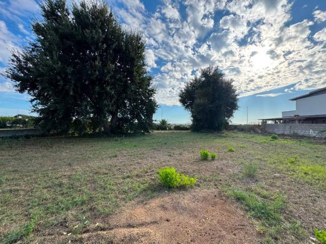 Terreno in vendita a Lavinio, Anzio