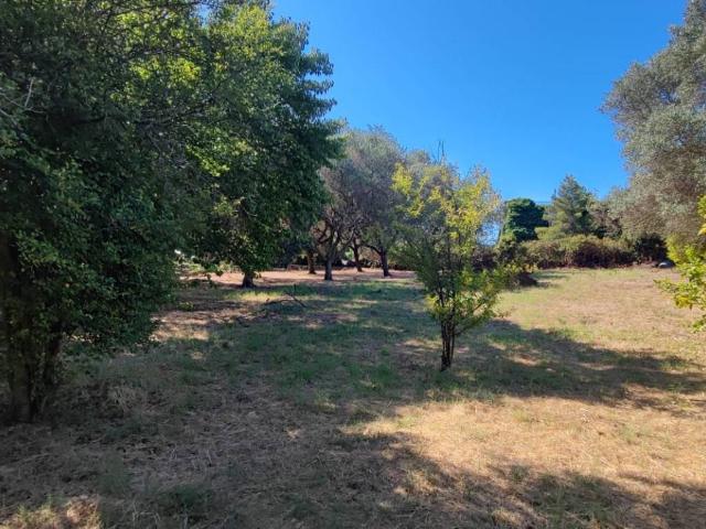 Terreno in vendita a Villa Claudia, Roma Capitale