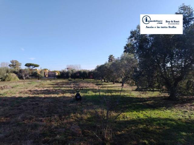 Terreno in vendita a Roma Capitale, Lazio