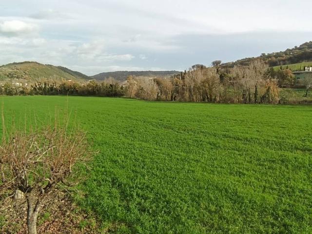 Terreno in vendita a Apice, Campania