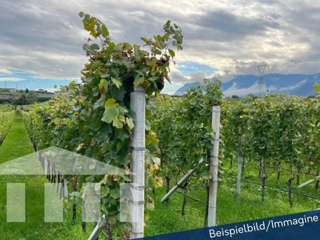 Terreno in vendita a Überetsch-Unterland - Oltradige-Bassa Atesina, Appiano - Eppan