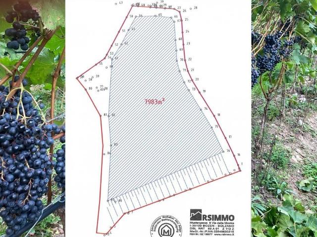 Terreno in vendita a Überetsch-Unterland - Oltradige-Bassa Atesina, Appiano - Eppan