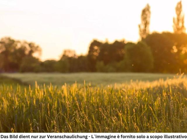 Terreno in vendita a Überetsch-Unterland - Oltradige-Bassa Atesina, Appiano - Eppan
