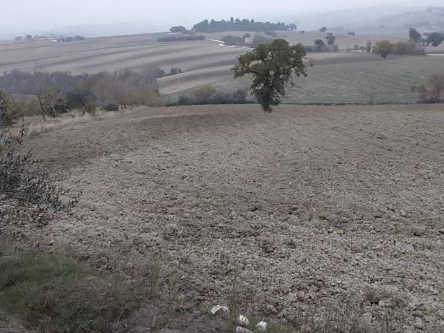 Terreno in vendita a Contrada Schito, Marche