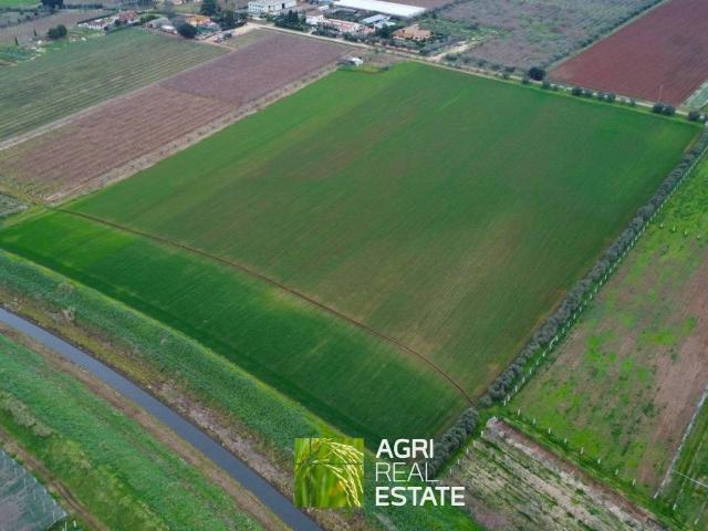 Terreno in vendita a Aprilia, Lazio