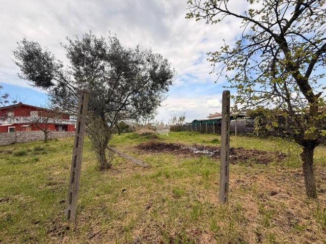 Terreno in vendita a Aprilia, Lazio