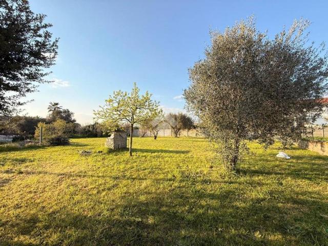Terreno in vendita a Pantanelle, Aprilia