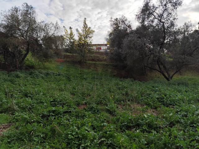 Terreno in vendita a La Cogna, Aprilia