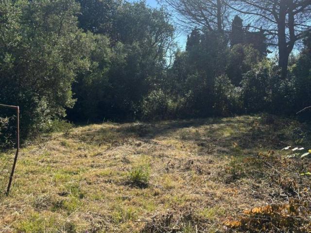 Terreno in vendita a La Cogna, Aprilia