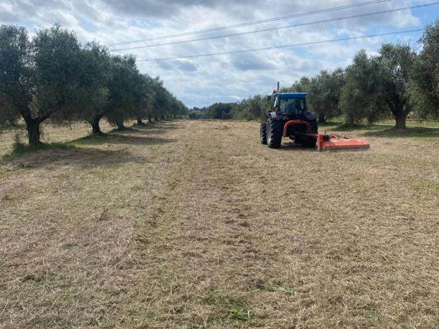 Terreno in vendita a Rimessone, Aprilia