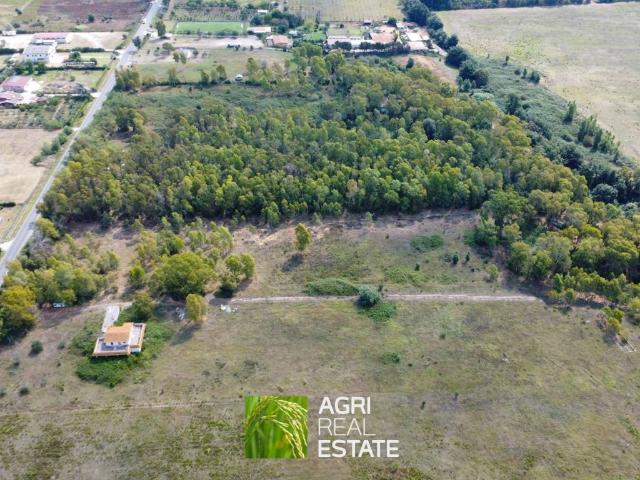 Terreno in vendita a Campo di Carne, Aprilia