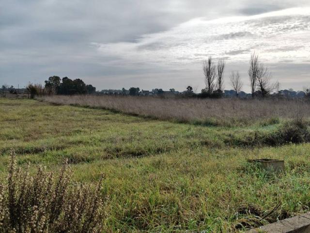 Terreno in vendita a Campo di Carne, Aprilia