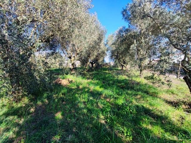 Terreno in vendita a Guardapasso, Aprilia