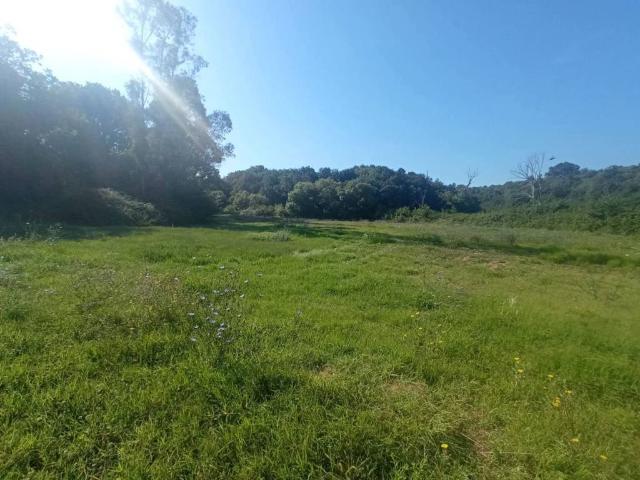 Terreno in vendita a Aprilia, Lazio