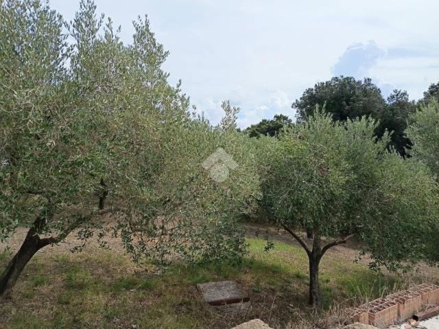 Terreno in vendita a Aprilia, Latina