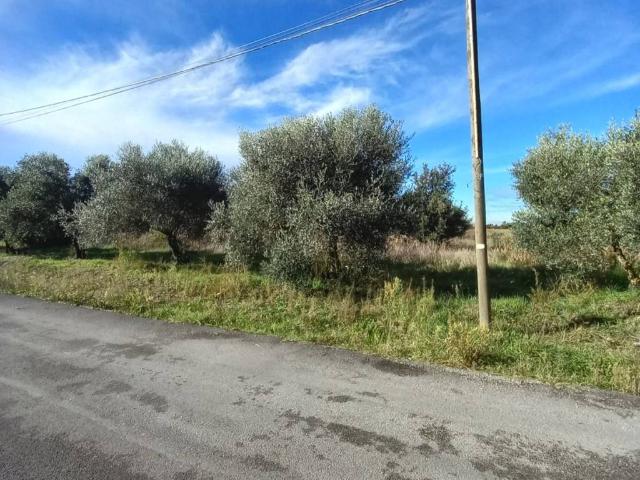 Terreno in vendita a Villaggio Verde, Aprilia