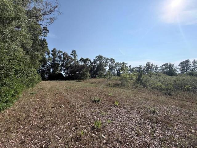 Terreno in vendita a Le Salzare, Aprilia