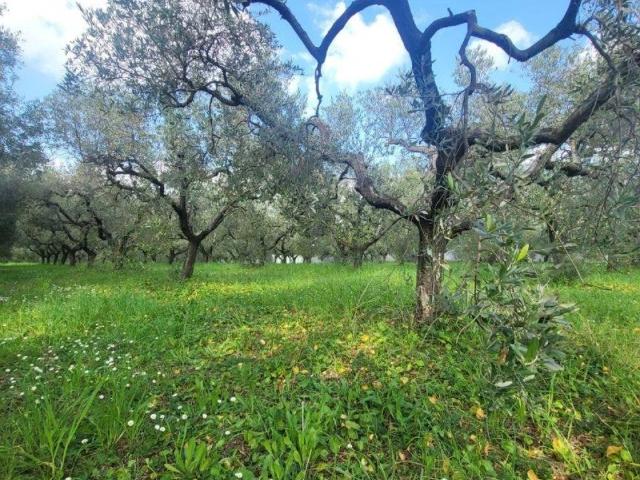 Terreno in vendita a Aprilia, Lazio