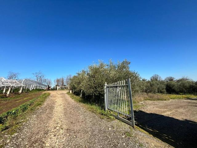 Terreno in vendita a Leda, Aprilia