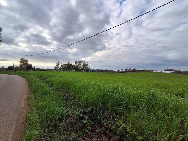 Terreno in vendita a Campoleone Scalo, Aprilia